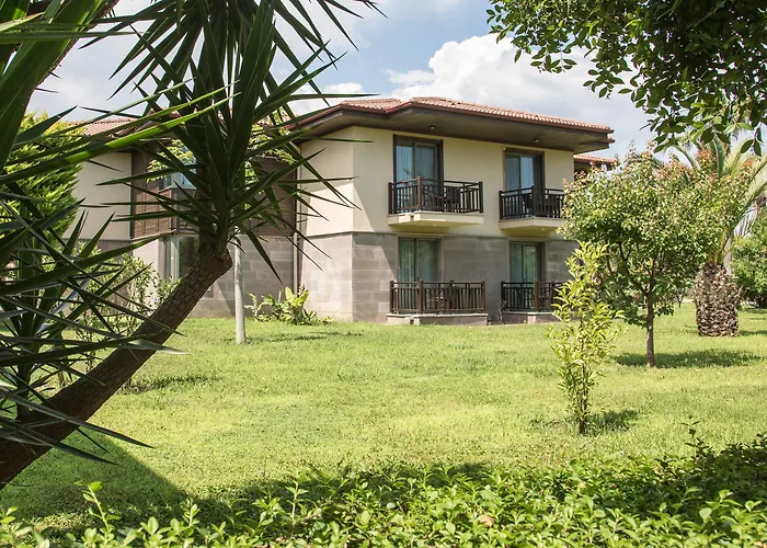 توي بلو بالم غاردين سيدي