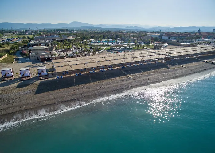 توي بلو بالم غاردين 4* سيدي